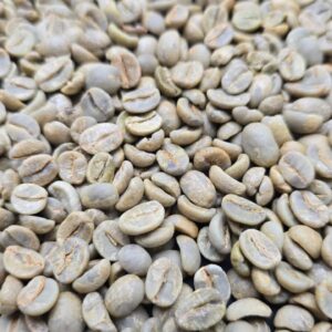 Arabica Coffee exporter